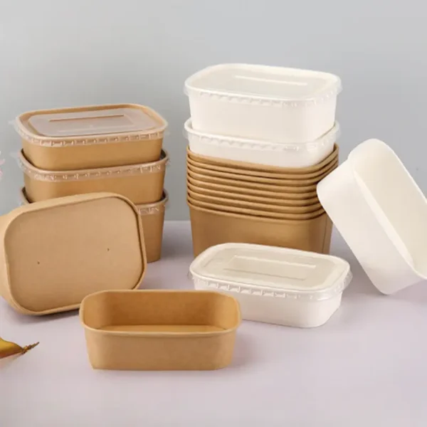 EcoChoice 1pc Paper Takeout Boxes – BPA-Free & Flip-Top