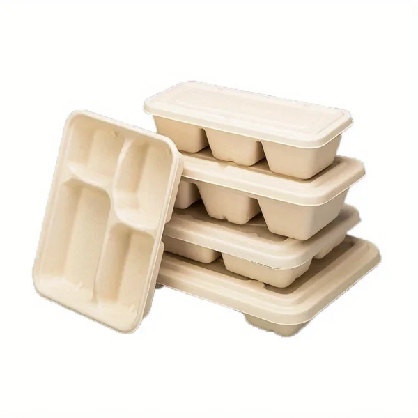 4-Compartment Paper Tray - Disposable Divided Lunch Box with Fresh Fruit