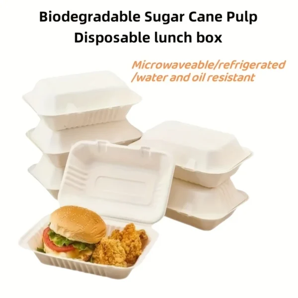 20pcs Pulp Lunch Boxes with Lids – Microwave & Fridge Safe