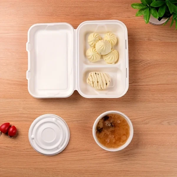 20pcs Pulp Lunch Boxes with Lids – Microwave & Fridge Safe